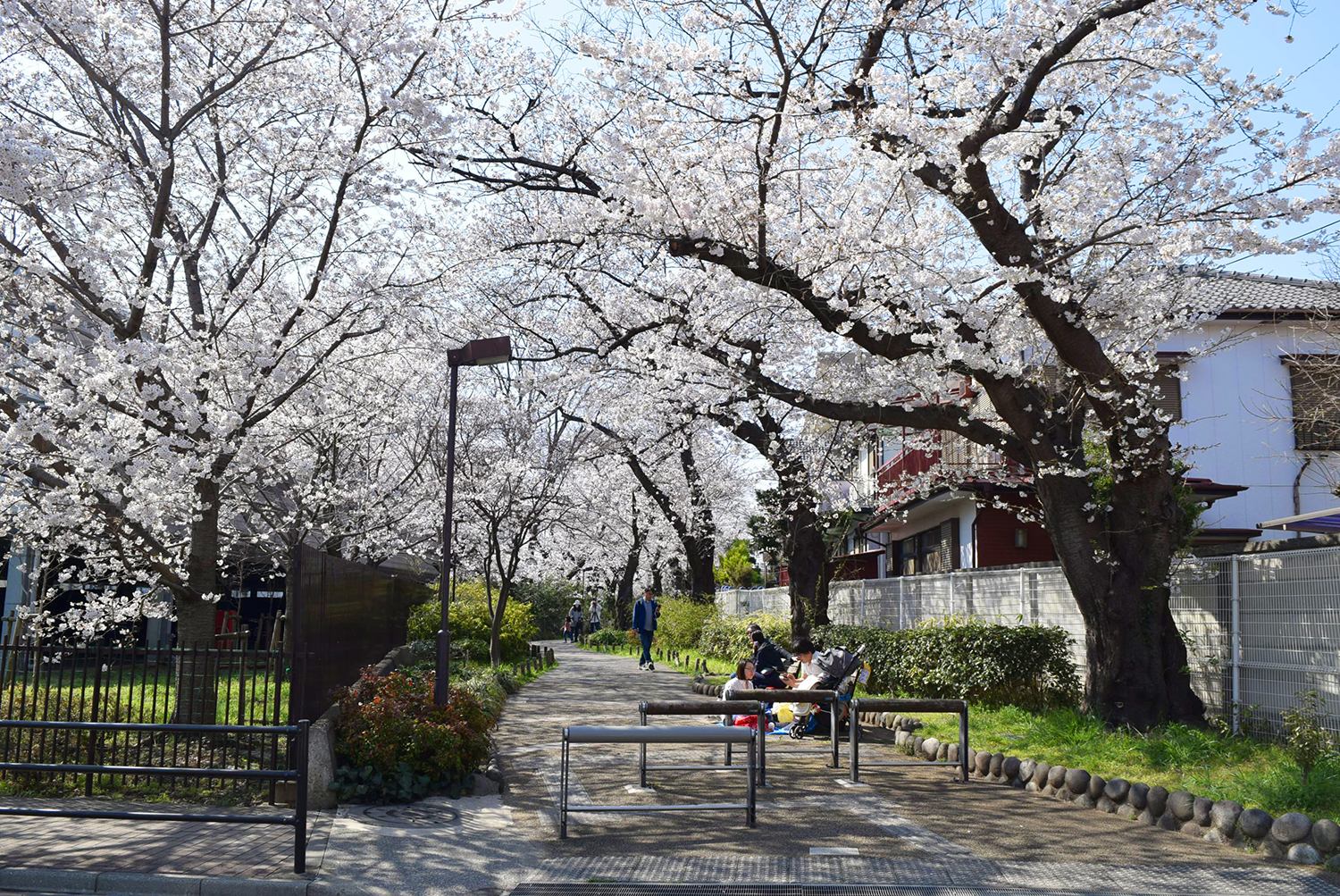 田柄川緑道