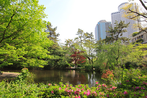 清水谷公園