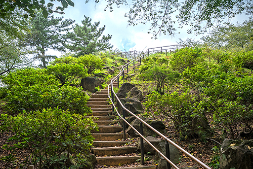 「都立戸山公園」内の「箱根山」