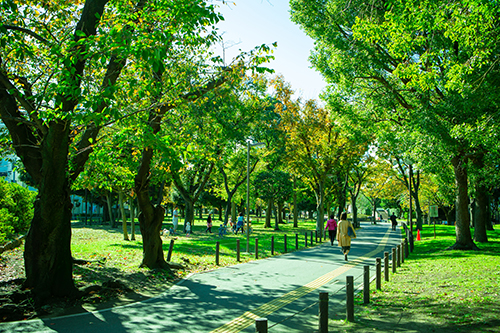 南砂三丁目公園