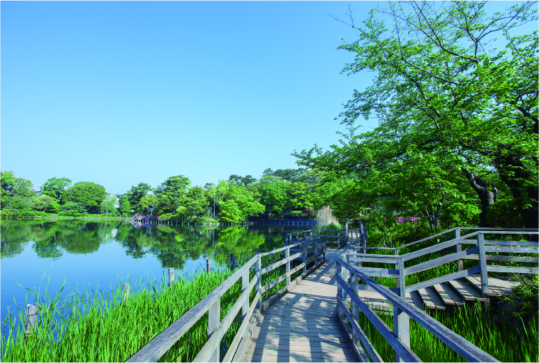 洗足池公園