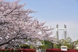 木場公園