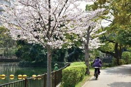 横十間川親水公園