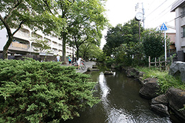 「小松川境川親水公園」は、散策スポットにも好適。春には桜の名所としても親しまれている  