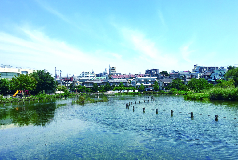 小池公園