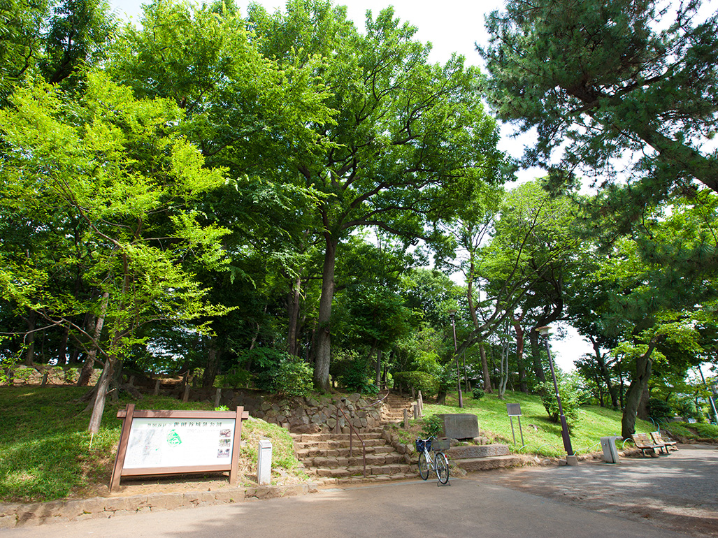  世田谷城址公園 