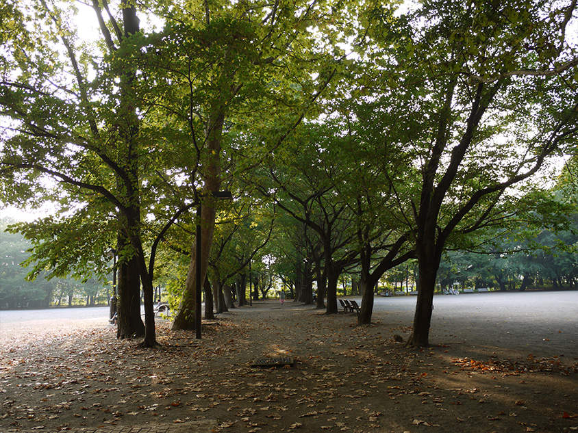 林試の森公園サービスセンター