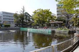 清水池公園