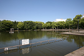 多摩中央公園