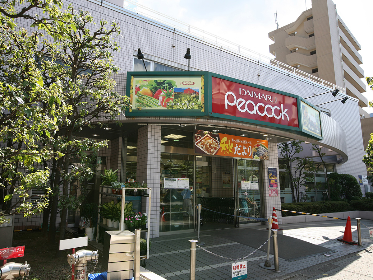 大丸ピーコック桜新町店