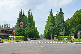 明治神宮外苑エリア