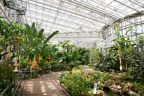 神代植物公園