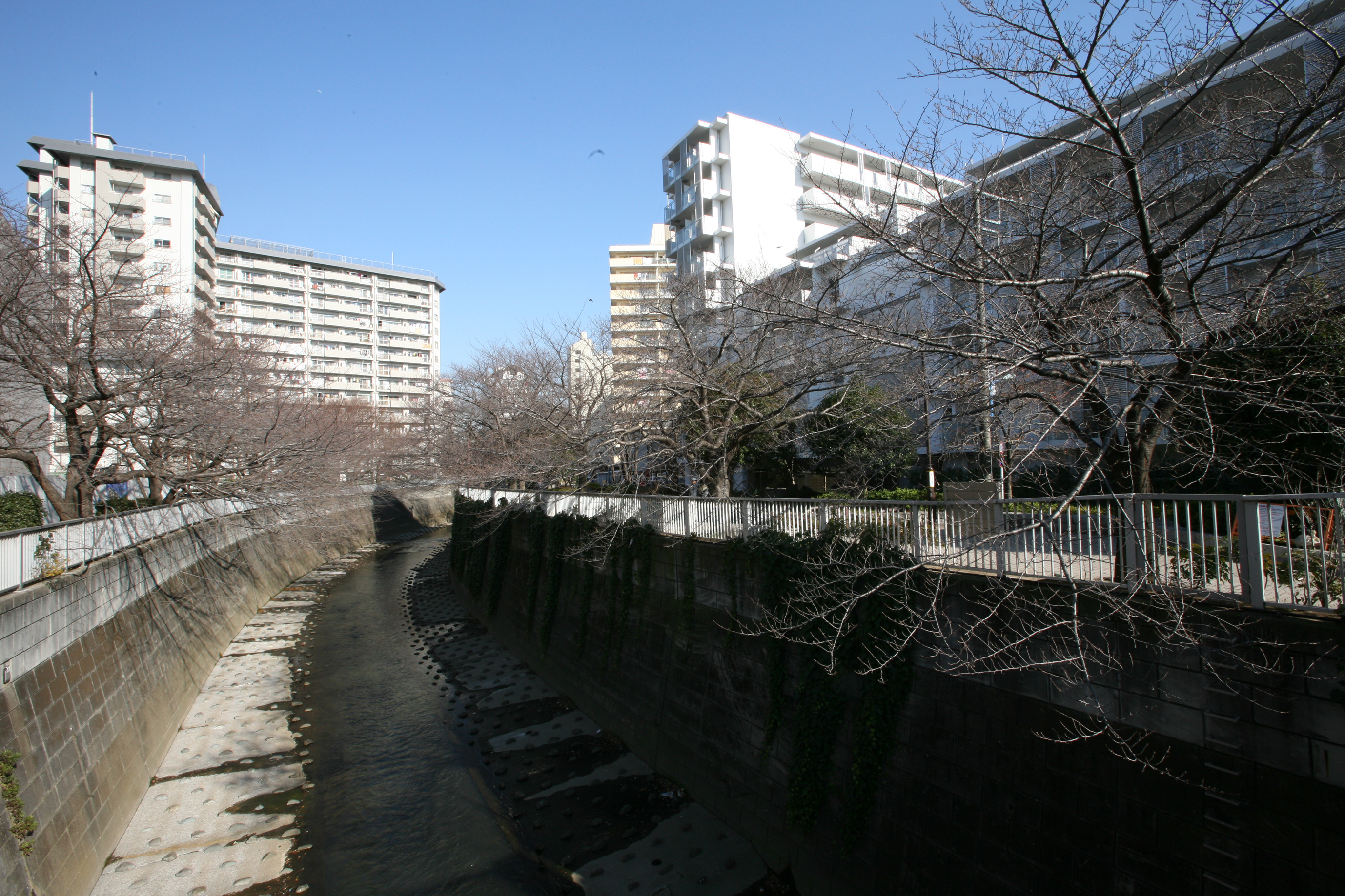 神田上水公園