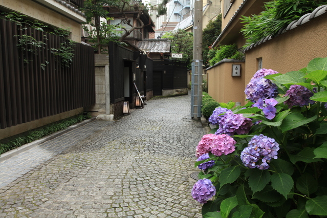  神楽坂の裏道 