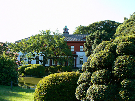 小石川植物園