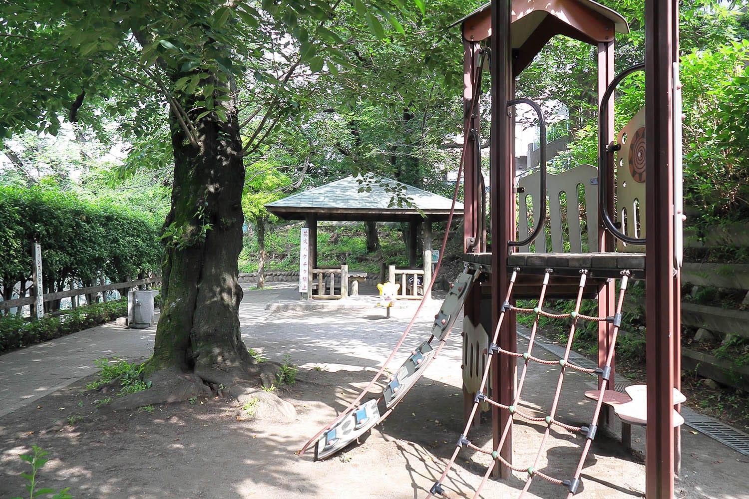 たぬき山公園