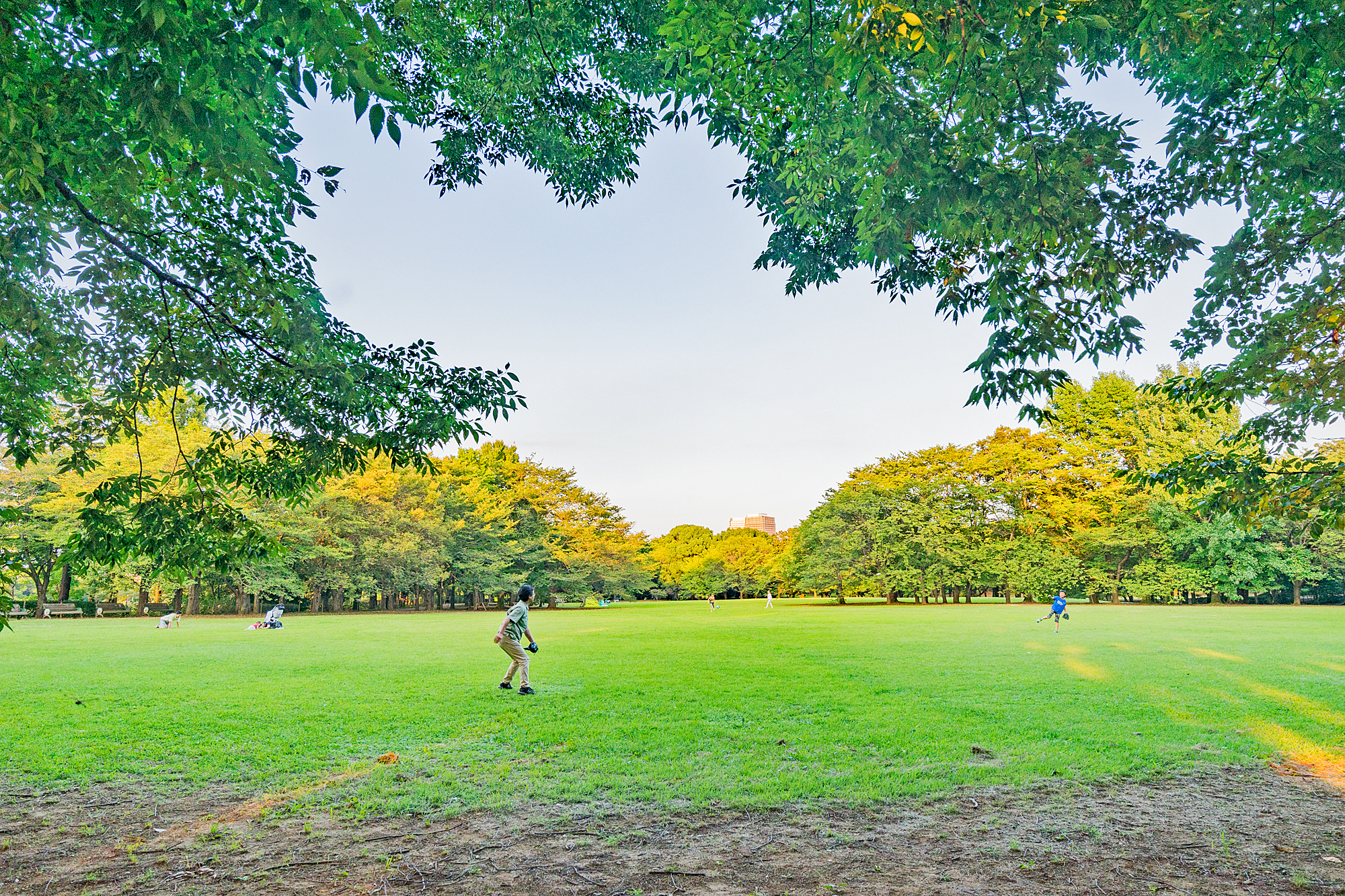 柏の葉公園