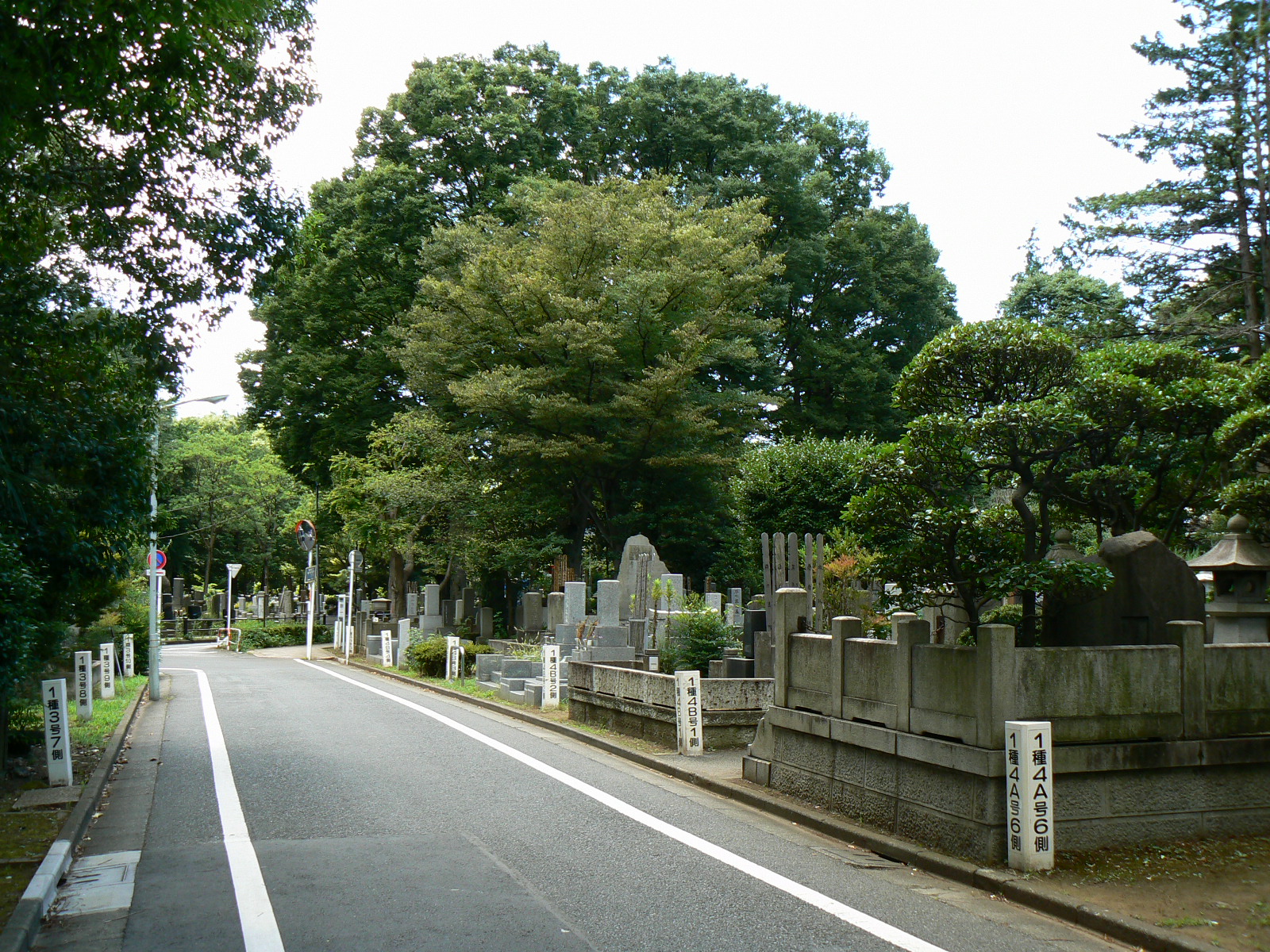  都立雑司ヶ谷霊園 